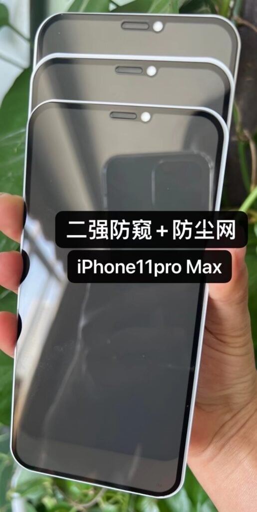 privacy tempered glass with dust filter