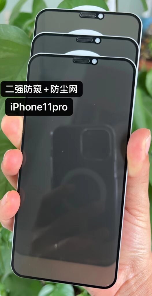 privacy tempered glass with dust filter