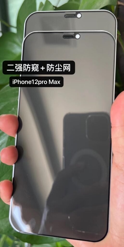 privacy tempered glass with dust filter