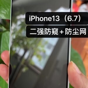 privacy tempered glass with dust filter