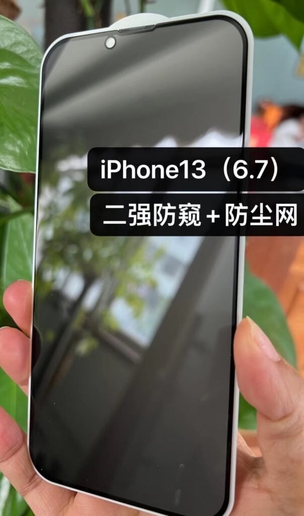 privacy tempered glass with dust filter