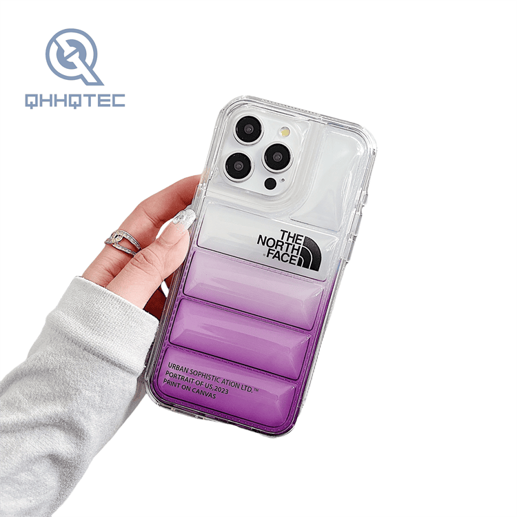 2 in 1 transparent gradient color down filled garment case