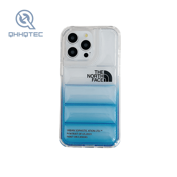 2 in 1 transparent gradient color down filled garment case