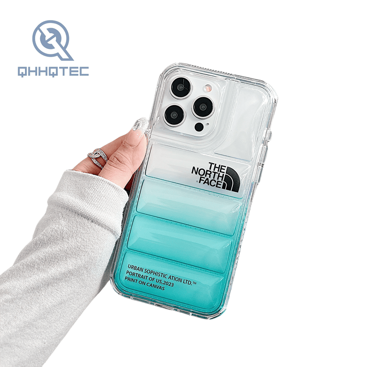 2 in 1 transparent gradient color down filled garment case