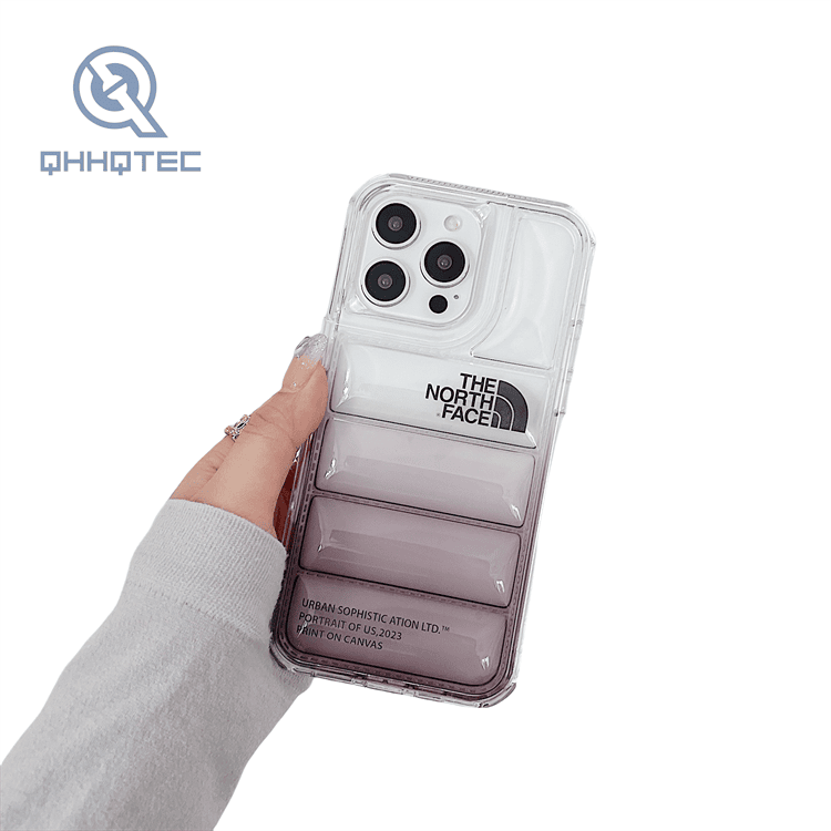 2 in 1 transparent gradient color down filled garment case