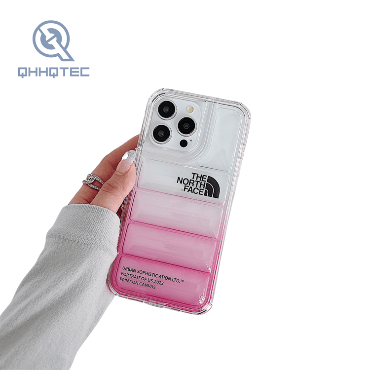 2 in 1 transparent gradient color down filled garment case