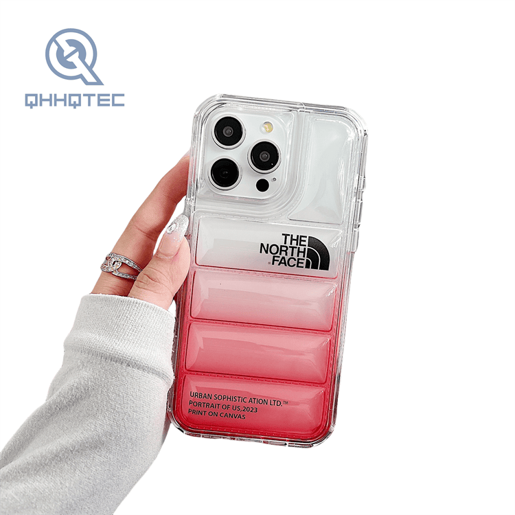 2 in 1 transparent gradient color down filled garment case