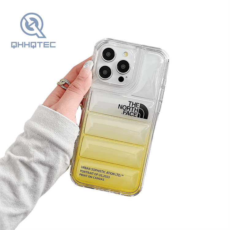 2 in 1 transparent gradient color down filled garment case