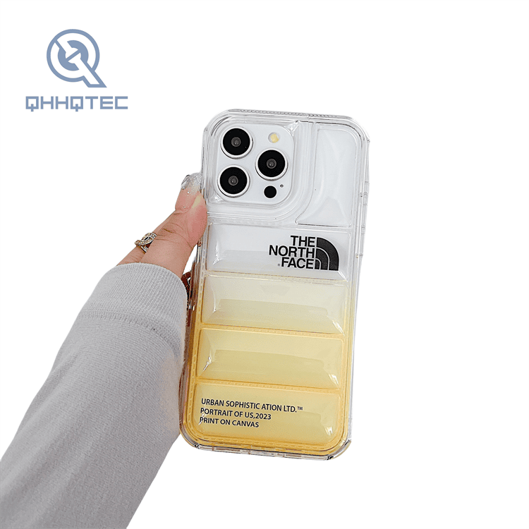 2 in 1 transparent gradient color down filled garment case