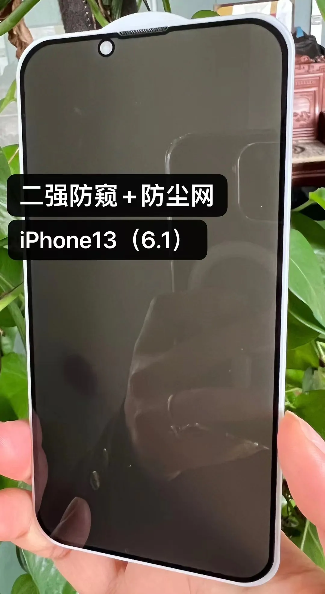 privacy tempered glass with dust filter