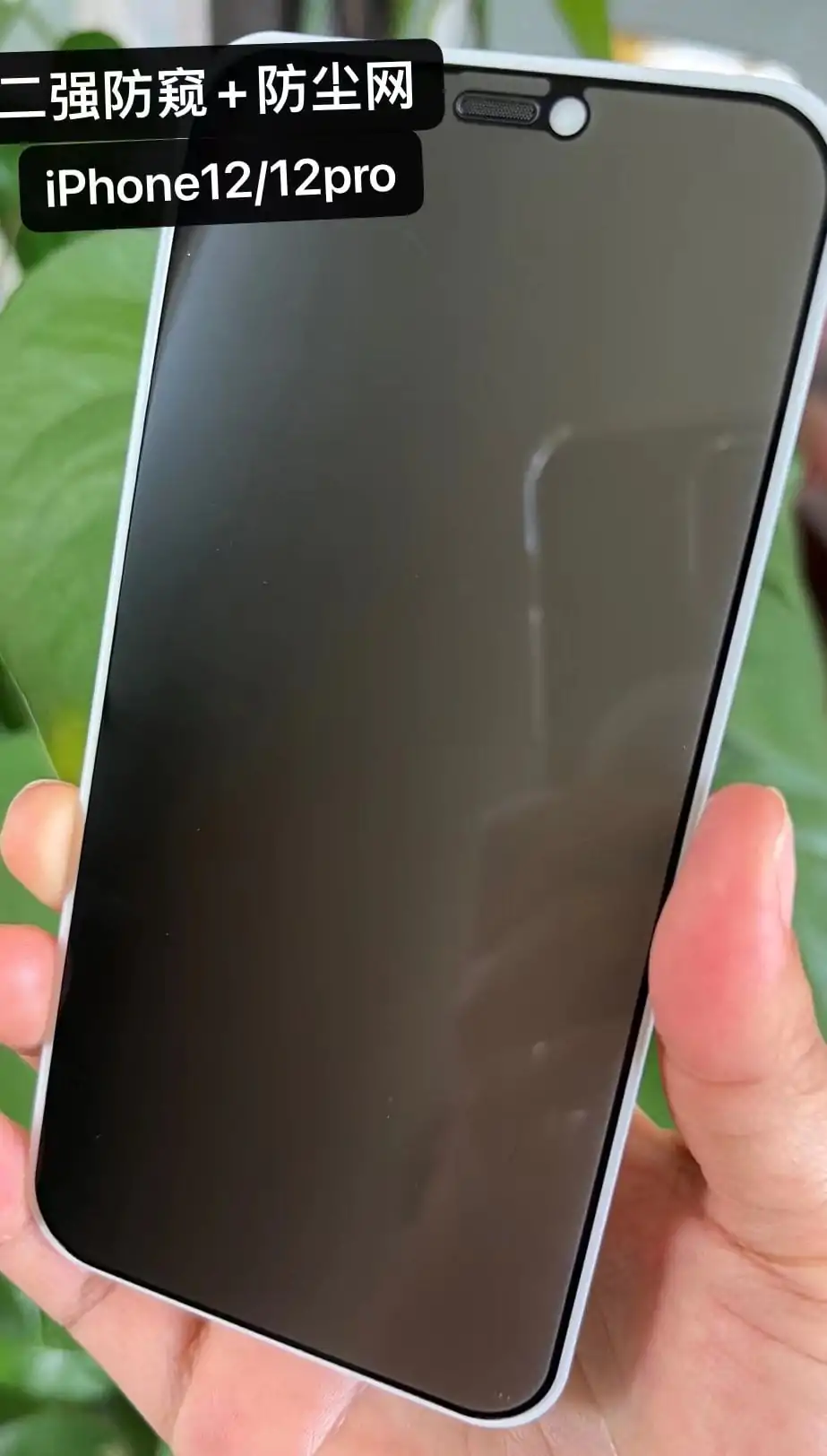 privacy tempered glass with dust filter