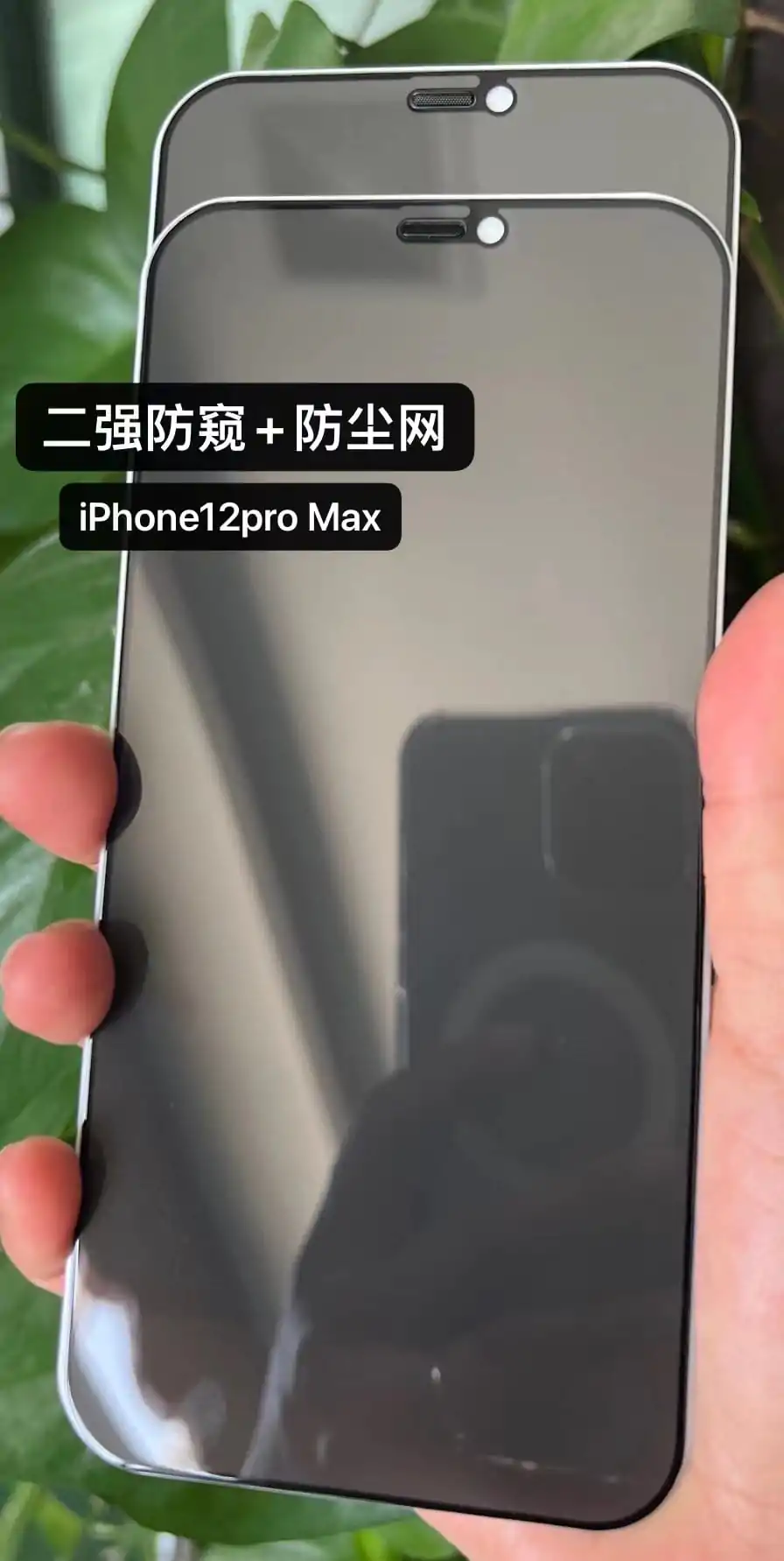 privacy tempered glass with dust filter