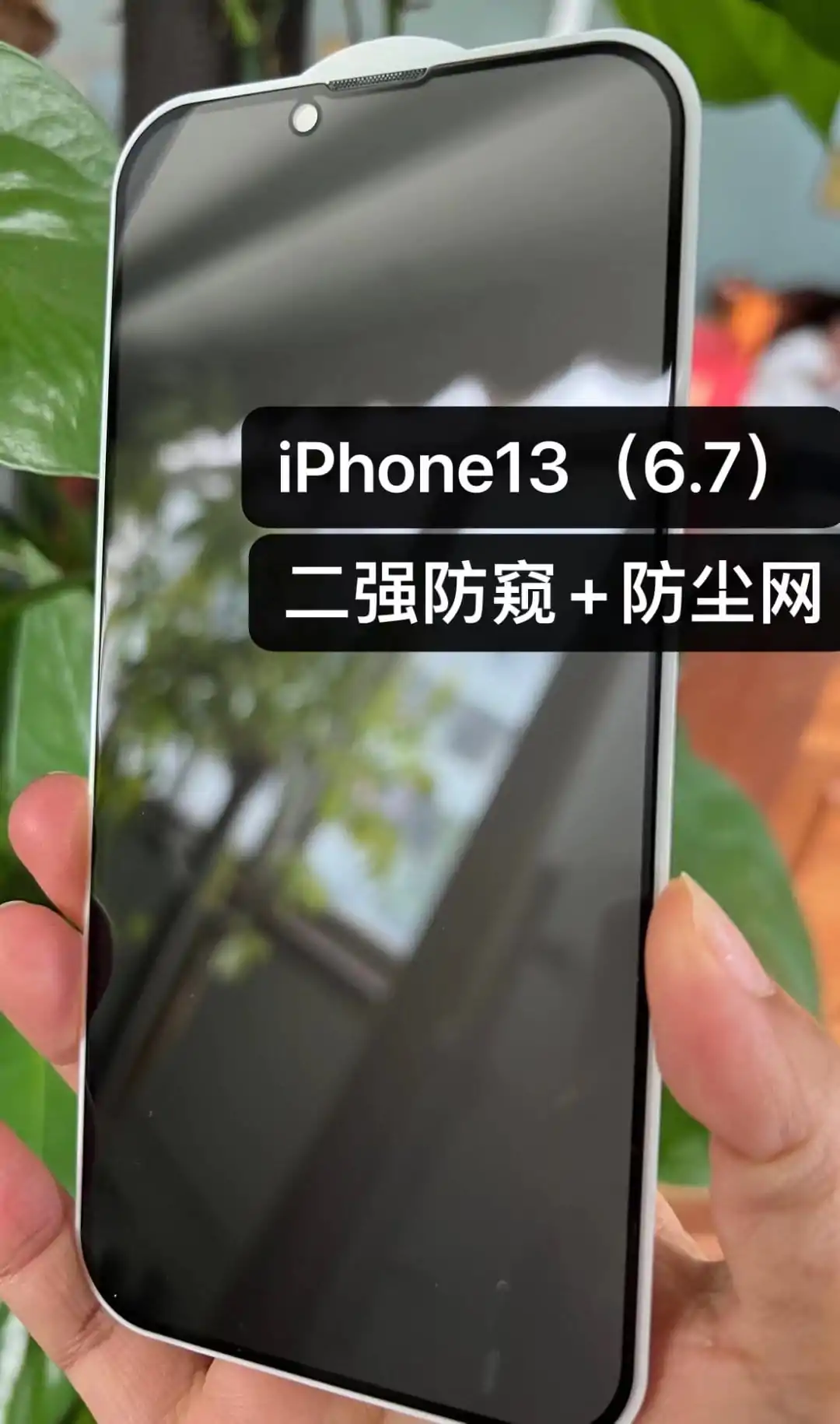 privacy tempered glass with dust filter