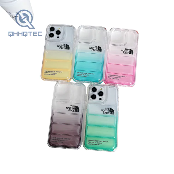 2 in 1 transparent gradient color down filled garment case